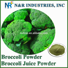 Poudre de brocoli pur de Broccoli Sprout 80mesh à 200mesh